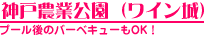 v[̌̃o[xL[OKI